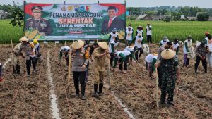 Kolaborasi Dalam Tingkatkan Ketahanan Pangan di Lamongan