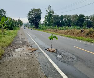 Lapor Gubernur Lampung, Jalan Lintas Sumetera Berlubang Banyak Memakan Korban