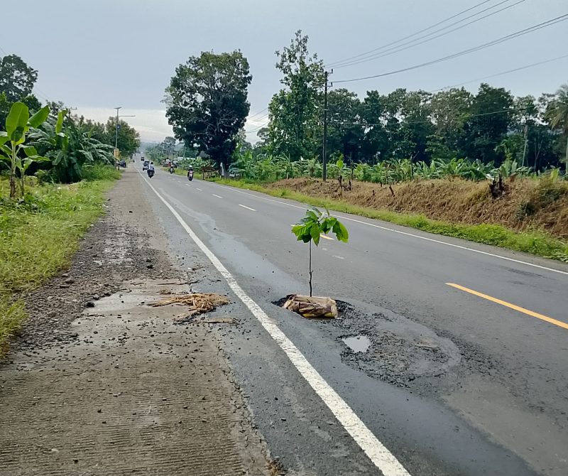 Lapor Gubernur Lampung, Jalan Lintas Sumetera Berlubang Banyak Memakan Korban