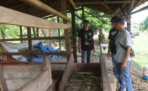 Polisi Patroli Berhasil Kejar Pelaku Pencuri Sapi di Lampung Selatan
