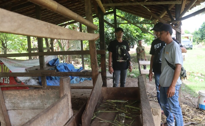 Polisi Patroli Berhasil Kejar Pelaku Pencuri Sapi di Lampung Selatan