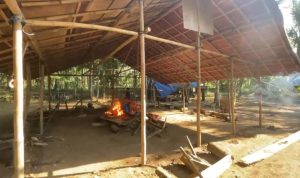Polres Lumajang Gerebek Arena Sabung Ayam di Klakah, Amankan 9 Ayam dan 38 Sepeda Motor